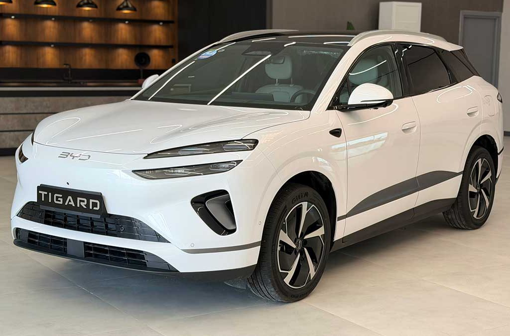 BYD سیلاین وارداتی 06 تیگارد موتور