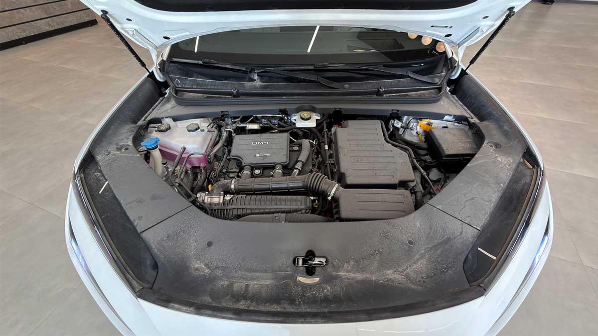 BYD سیلاین وارداتی 06 تیگارد موتور