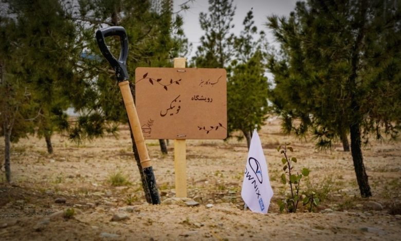 جایی که هر نهال، داستانی برای آیندهای سبز است رویشگاه فونیکس با مشارکت مردم احداث شد جایی که هر نهال، داستانی برای آیندهای سبز است رویشگاه فونیکس با مشارکت مردم احداث شد