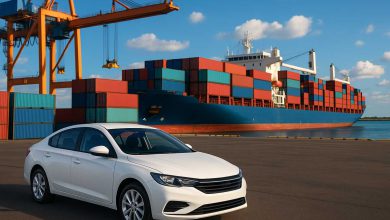 واردات خودرو برای ایرانیان خارج از کشور آزاد شد | بدون انتقال ارز و بدون محدودیت ارزی منبع سایت چرخان