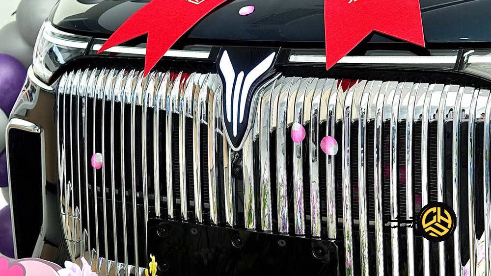 زنگ خطر برای خودروسازان برقی چین، دهها برند در آستانه نابودی خودروسازان برقی چین